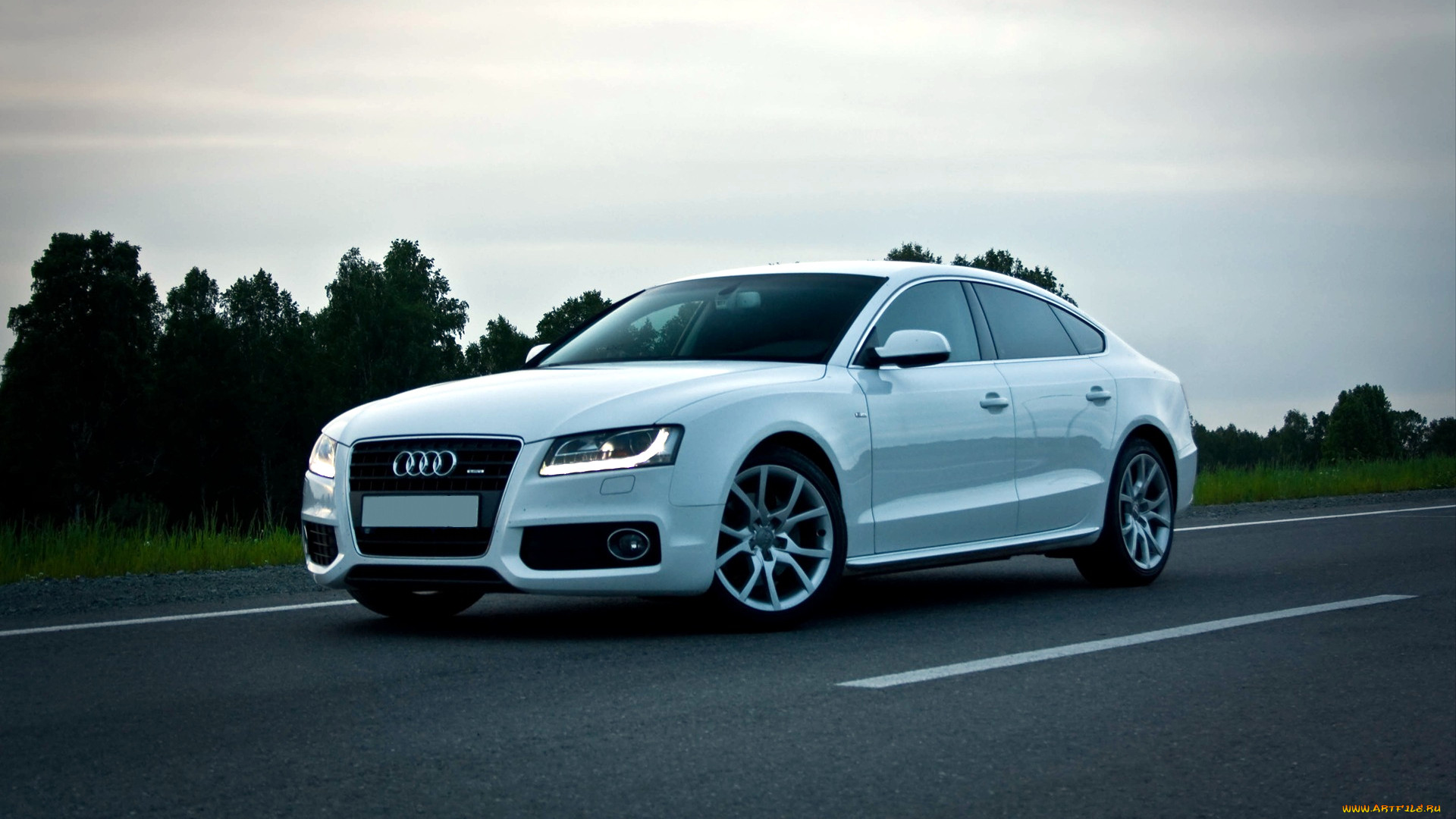 audi, a5, , volkswagen, group, 